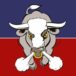 Aylesford Bulls badge